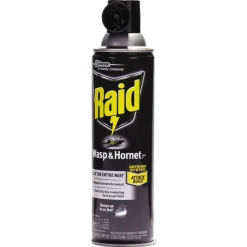 Raid 14-Ounce Wasp and Hornet Killer Spray (12/Carton)