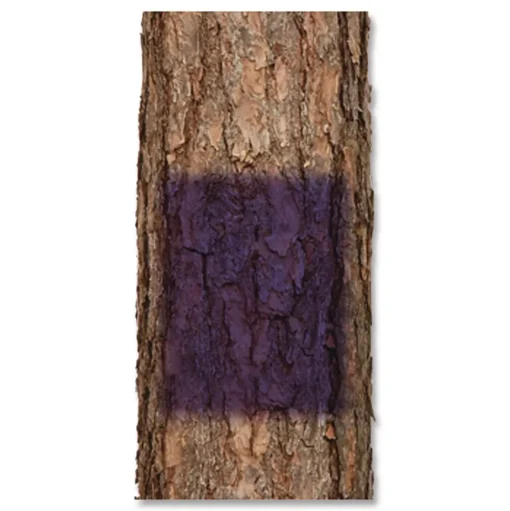 Rust-Oleum 12 oz. Aerosol Can Specialty No Hunting Spray Paint - Flat Purple (6/Carton)