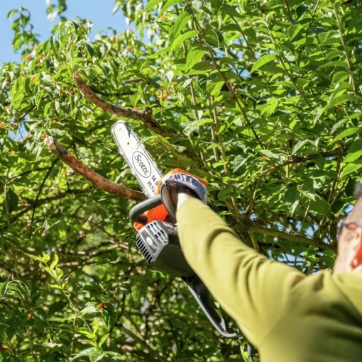 Scott's 11 Amp 14 in. Corded Chainsaw