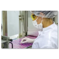 SemperCare Stretch Vinyl Examination Gloves - Large, Cream (100/Box)