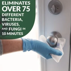 Simple Green 3310200601001 1 gal. Bottle d Pro 3 Plus Antibacterial Concentrate - Herbal (6/Carton)