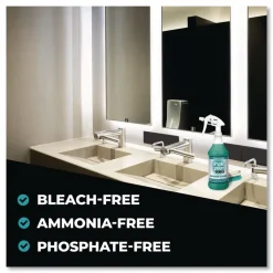 Simple Green 32 oz Ready-To-Use Pro Bathroom Cleaner (12/Carton)