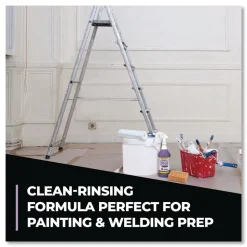 Simple Green 32 oz Ready-To-Use Pro HD Cleaner (12/Carton)