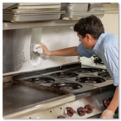 Simple Green Crystal 20 oz Aerosol Spray Foaming Industrial Cleaner and Degreaser (12/Carton)