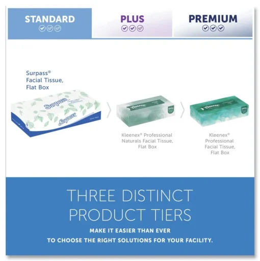 Surpass 21340 2-Ply Flat Box Facial Tissue for Business - White (100 Sheets/Box, 30 Boxes/Carton)