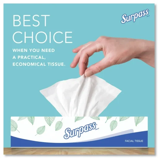 Surpass 21340 2-Ply Flat Box Facial Tissue for Business - White (100 Sheets/Box, 30 Boxes/Carton)