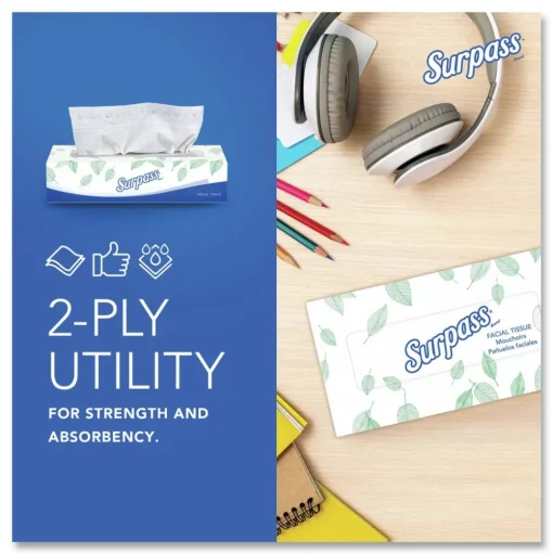 Surpass 21340 2-Ply Flat Box Facial Tissue for Business - White (100 Sheets/Box, 30 Boxes/Carton)