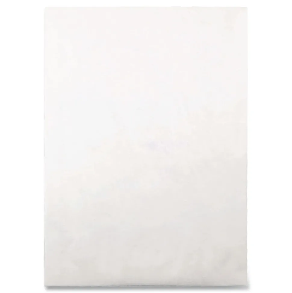 Survivor 12 in. x 16 in. No. 15-1/2 Heavyweight 18 lbs. Tyvek Open End Expansion Mailers - White (100/Carton)