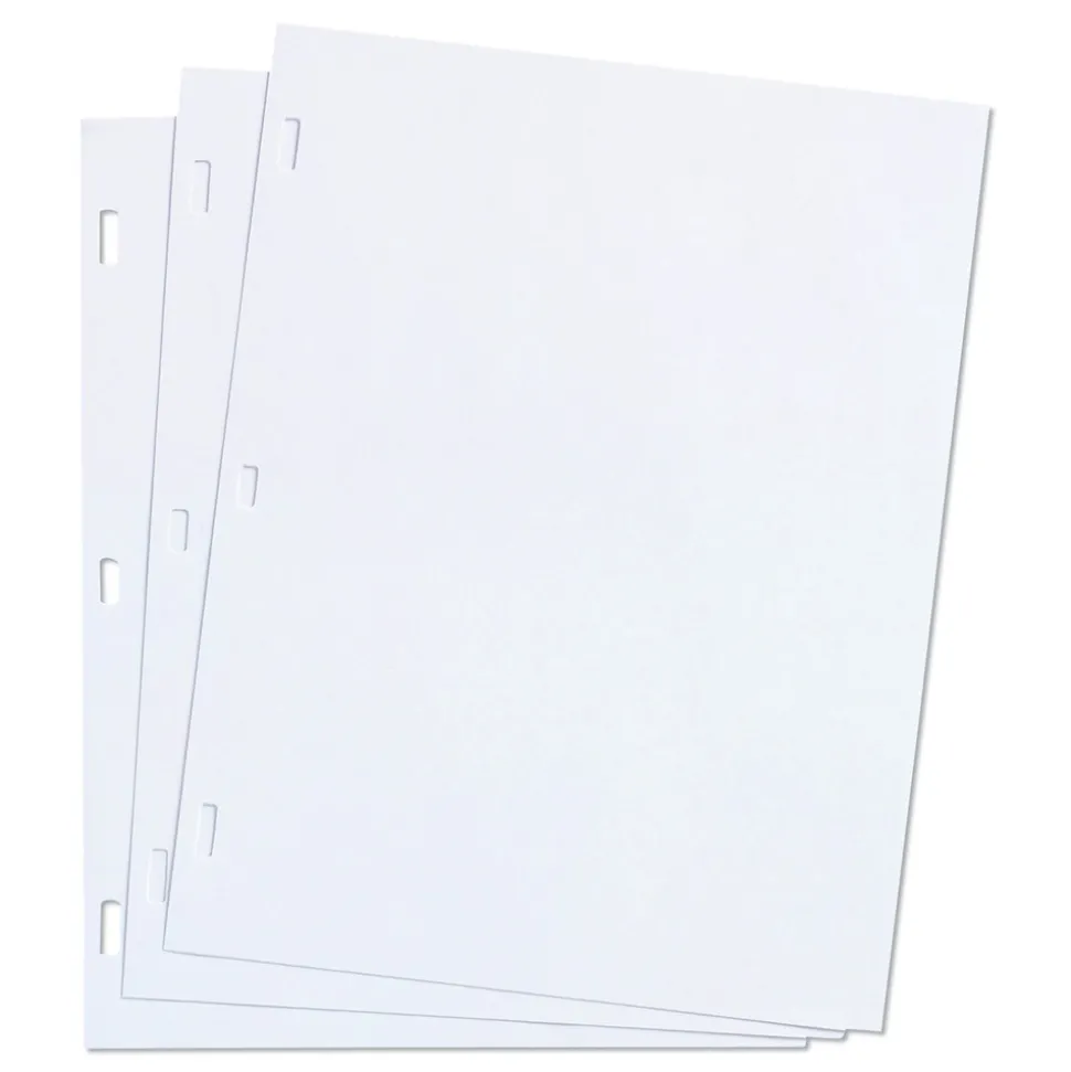 Wilson Jones 11 x 8.5 Loose Ledger Sheets for Corporation and Minute Book - White (100/Box)