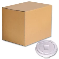 WinCup Drink-Thru Plastic Lids for 10 oz Hot Cups and Bowls - White (1000/Carton)