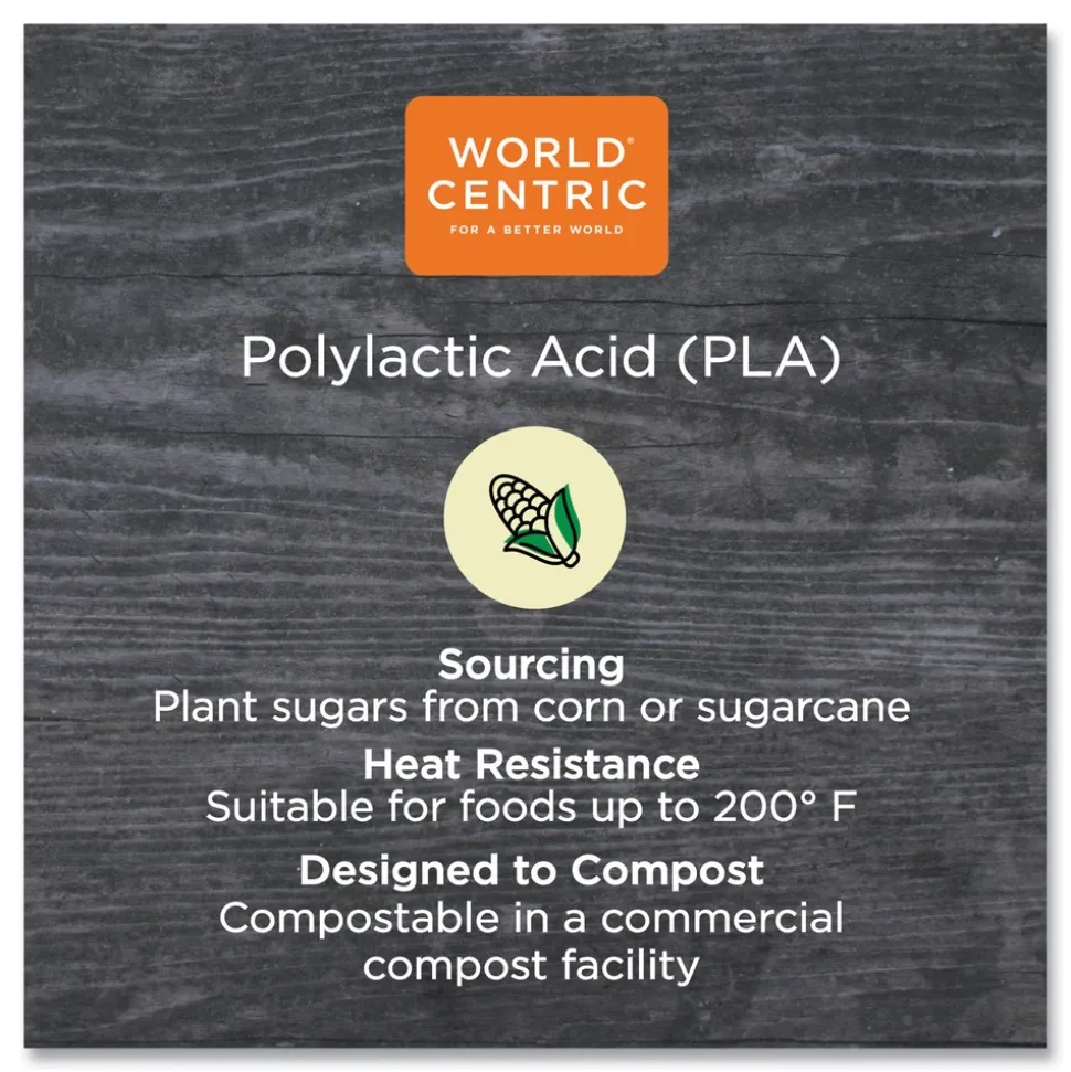 World Centric 6.5 in. x 7.5 in. x 0.3 in. PLA Rectangular Plastic Deli Container Lids - Clear (600/Carton)