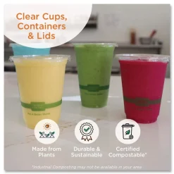 World Centric CTLCS3 8.8 in. x 6.9 in. x 0.8 in. Plastic PLA Lids for Fiber Containers - Clear (400/Carton)