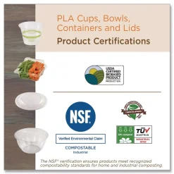 World Centric Plastic Dome Lid PLA Clear Cold Cup Lids Fits 9 oz to 24 oz Parfait Cups - Clear (1000/Carton)