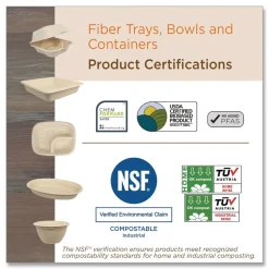 World Centric PL-SC-U10-LFP 10.1 in. Diameter Paper Fiber Plates - Natural (800/Carton)