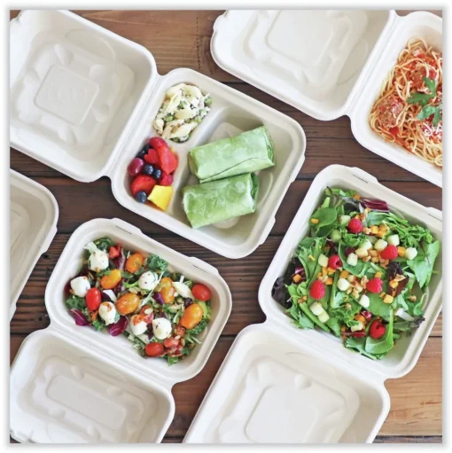 World Centric TO-SC-U9-LFP 9.2 in. x 9.1 in. x 3.2 in. Paper Fiber Hinged Containers - Natural (300/Carton)